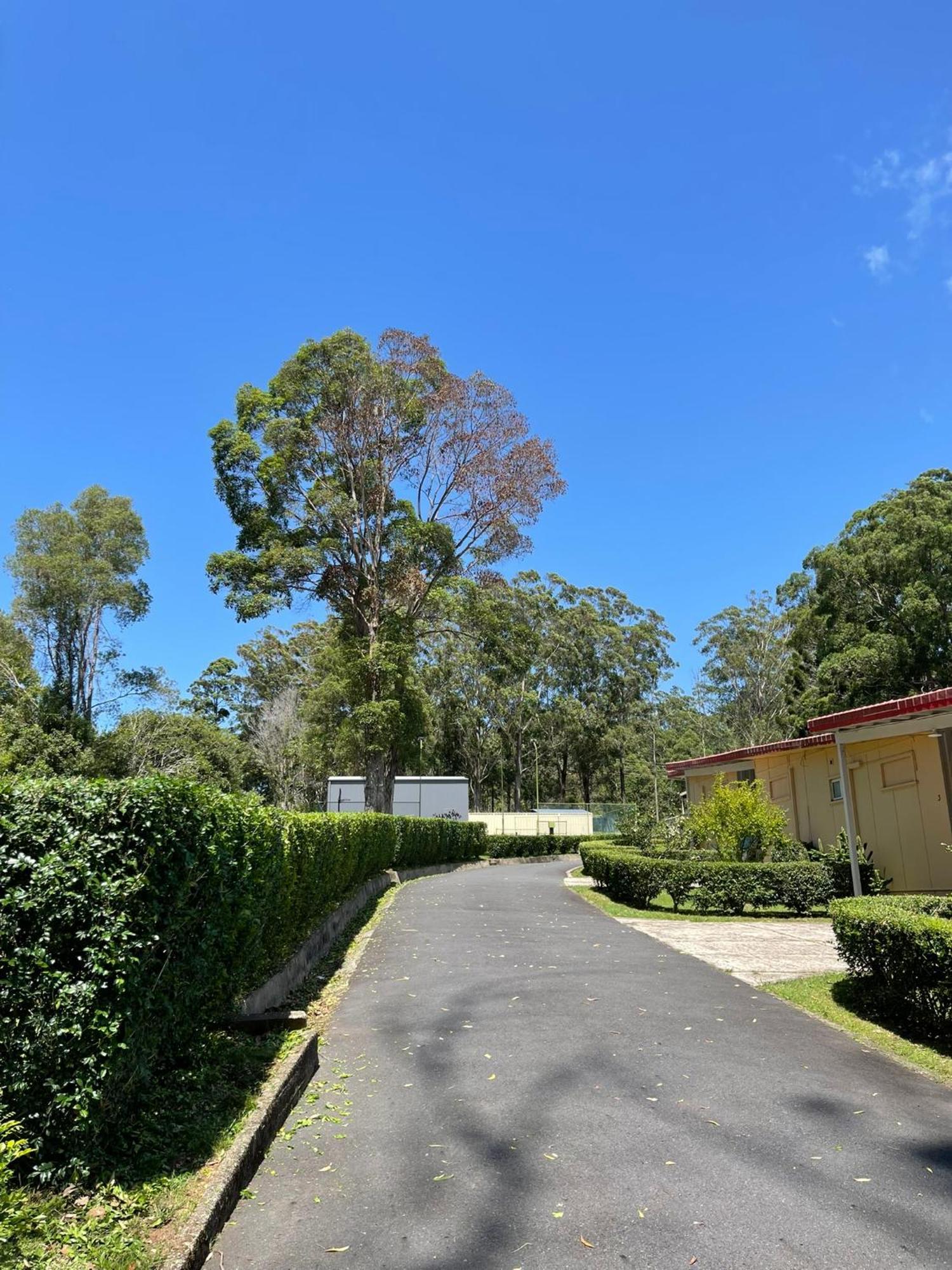 Major Innes Motel Port Macquarie Kültér fotó