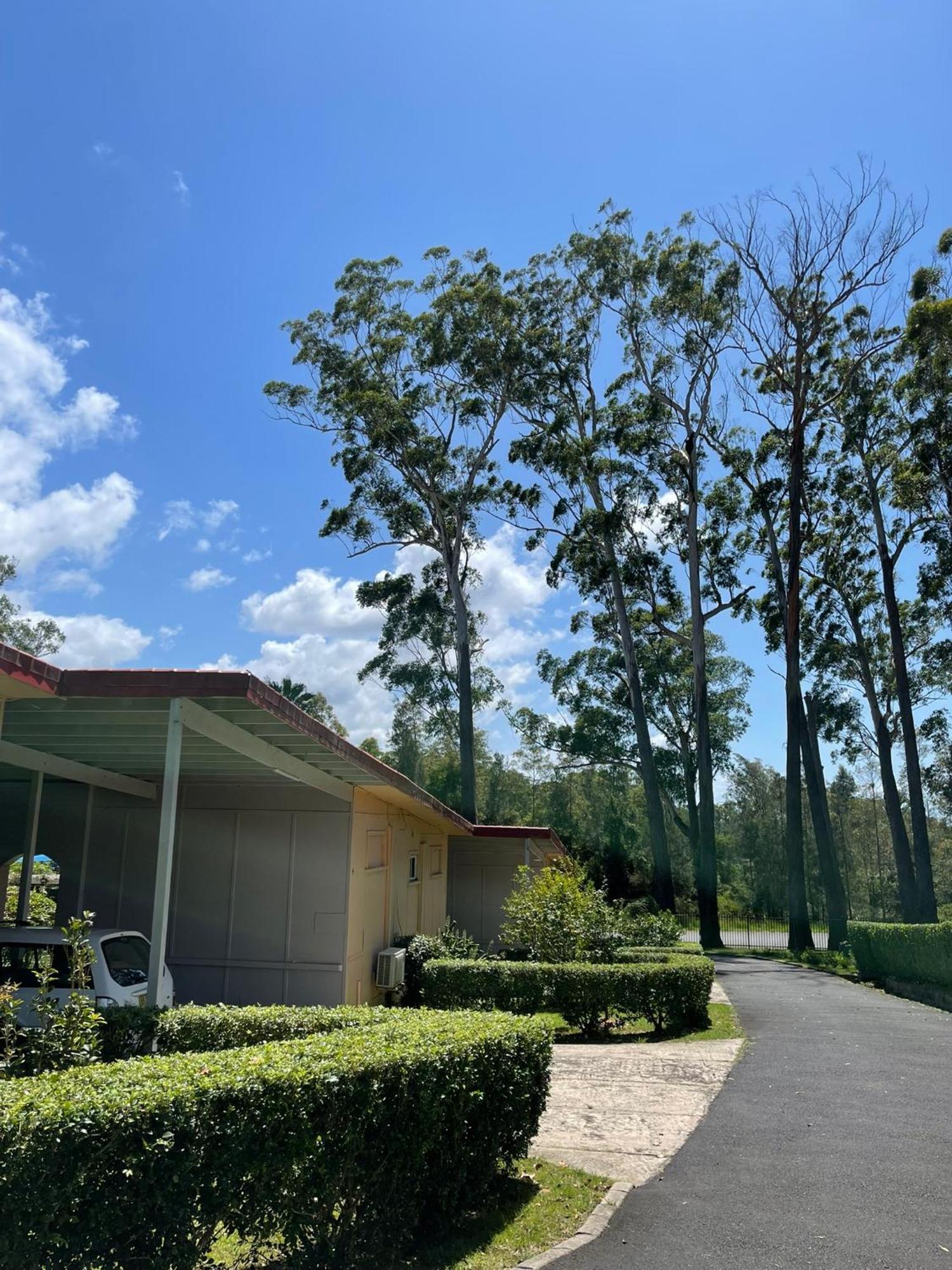 Major Innes Motel Port Macquarie Kültér fotó